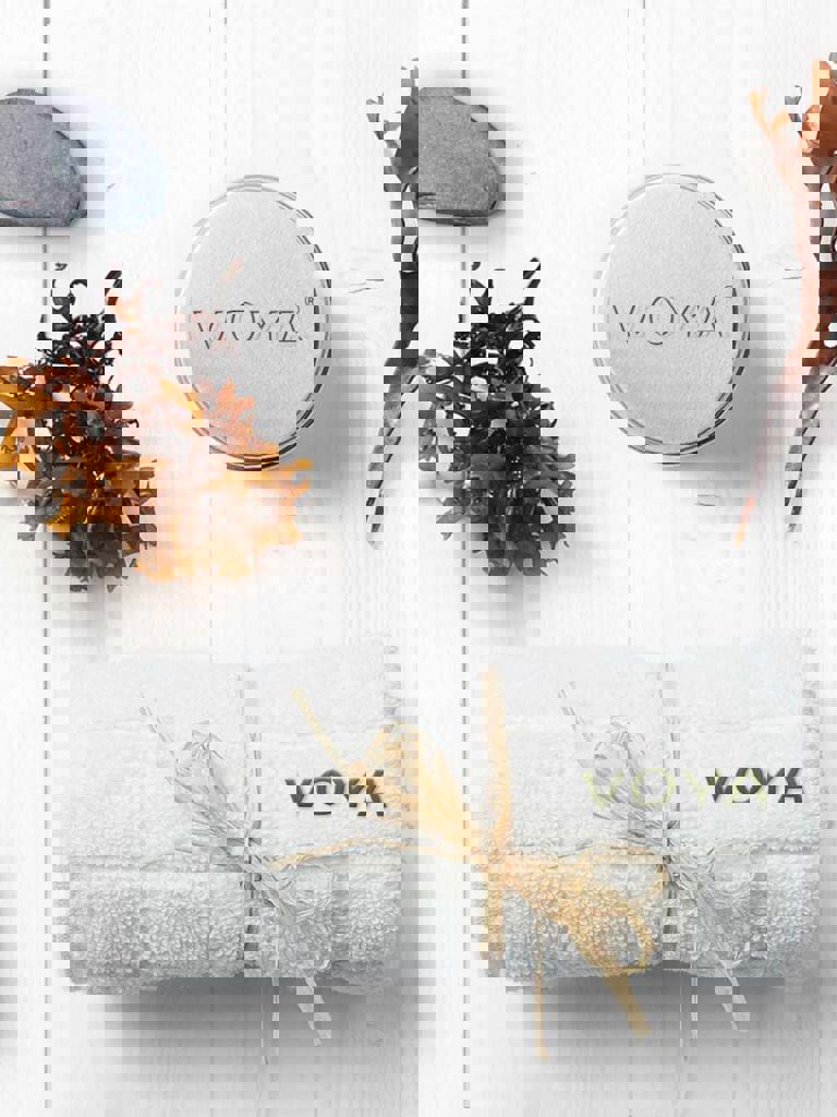 VOYA products VOYA products
