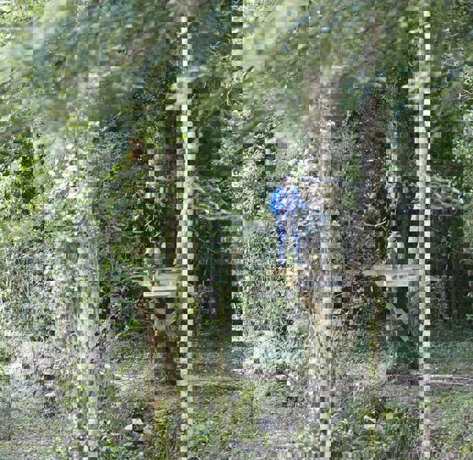 Guest zip-lining in the woods