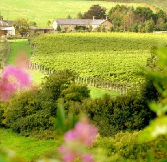 Furleigh Wine Estate Furleigh Wine Estate