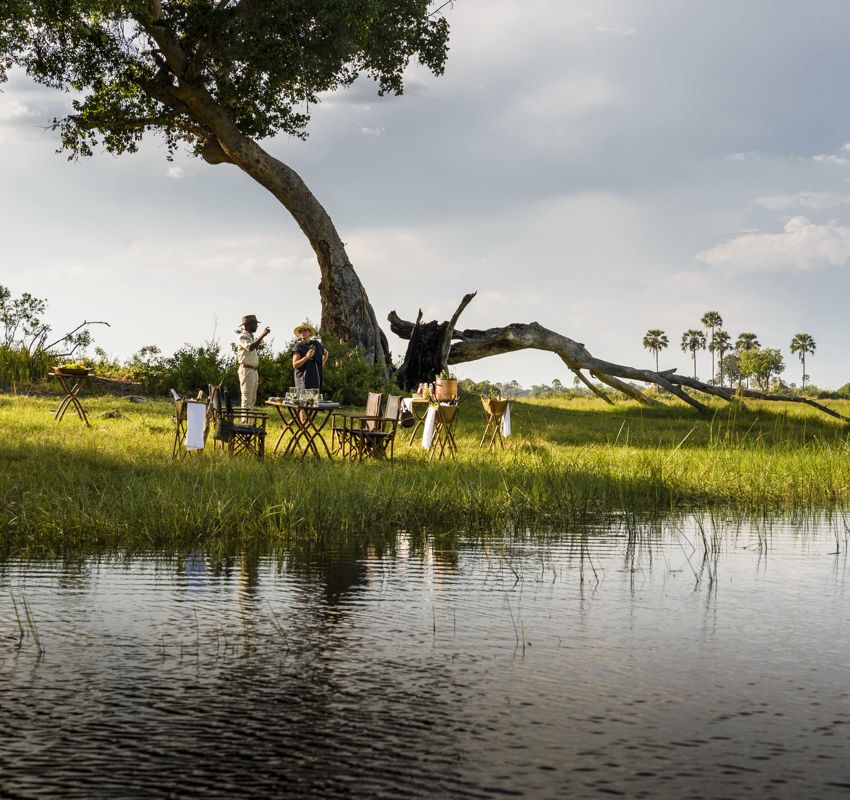 picnic set-up picnic set-up