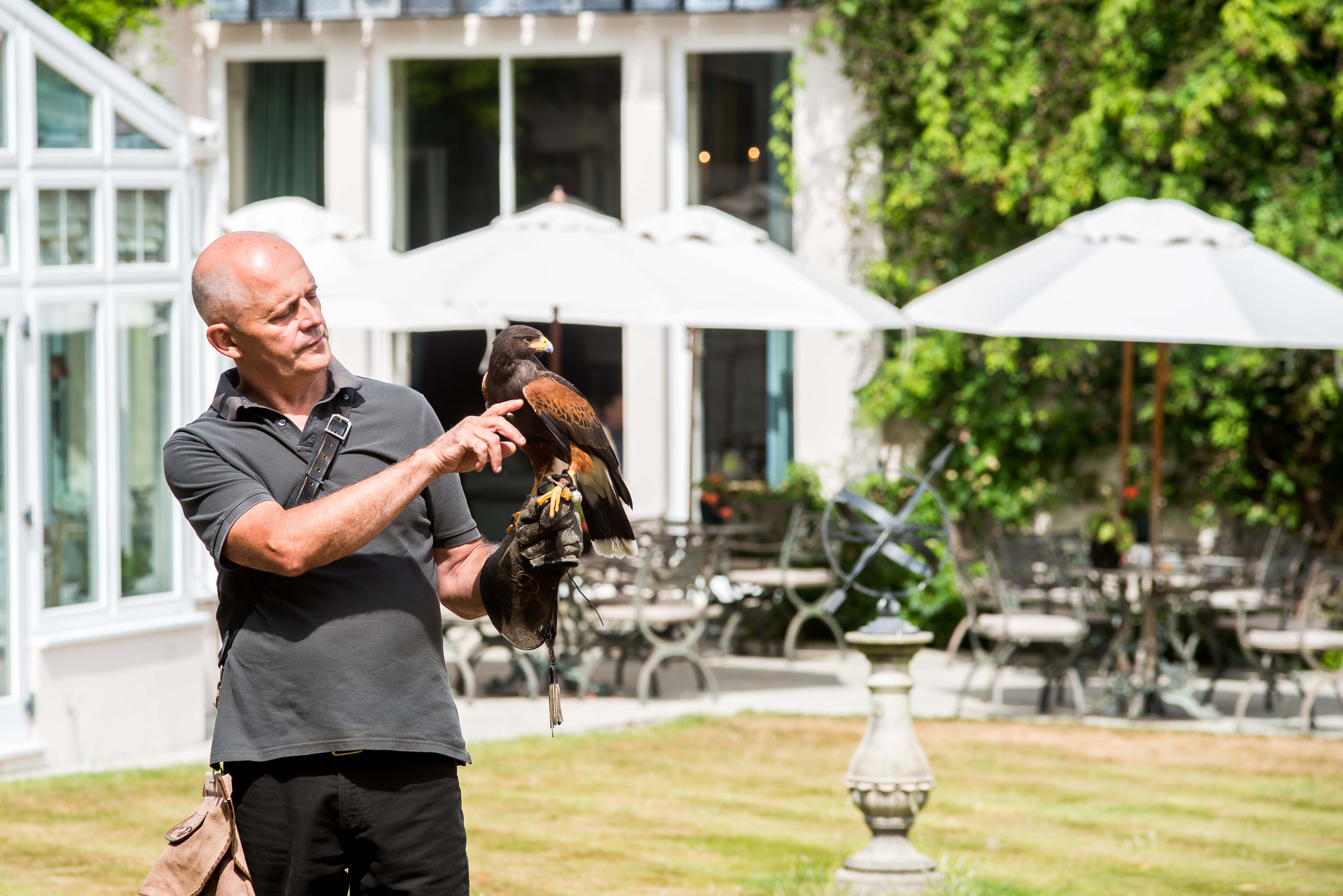 Falconry at Summer Lodge