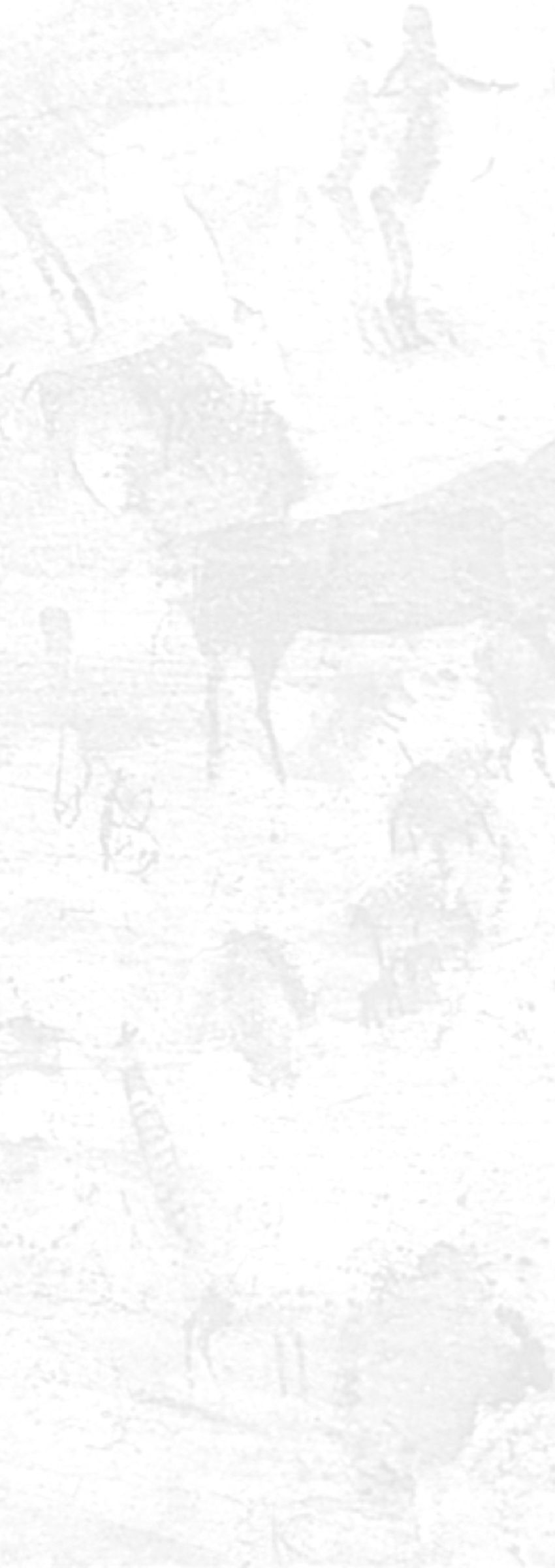 Bushmans Kloof Rock Art Background Bushmans Kloof Rock Art Background