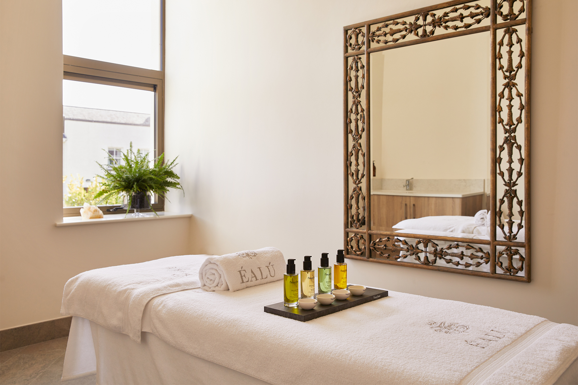 Éalú Treatment Room Landscape