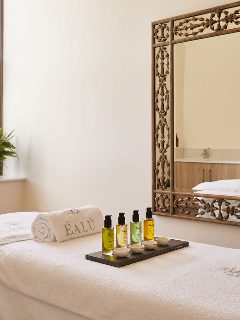 Éalú Treatment Room Landscape Éalú Treatment Room Landscape