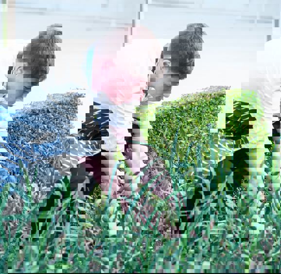 Summer Lodge polytunnel eco friendly hotel Summer Lodge polytunnel eco friendly hotel