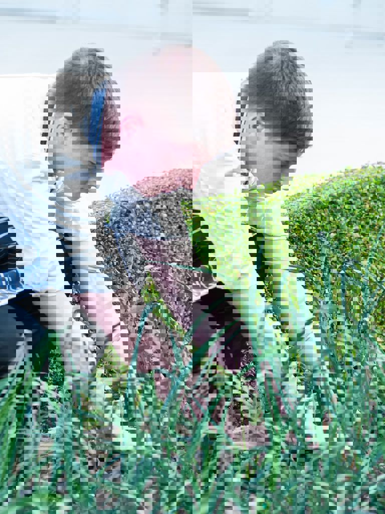 Summer Lodge polytunnel eco friendly hotel Summer Lodge polytunnel eco friendly hotel