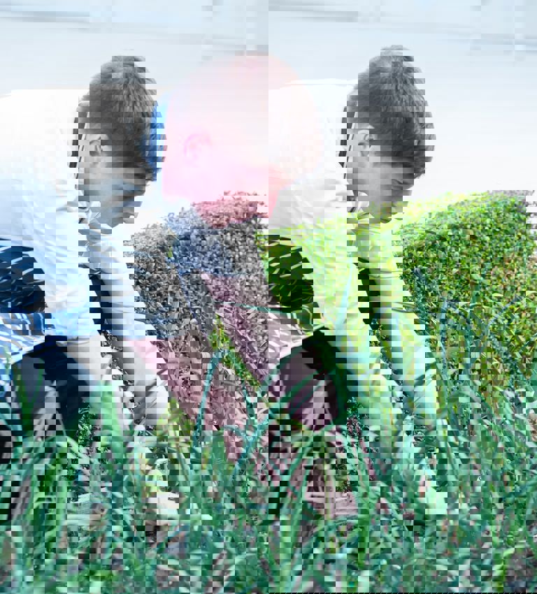 Summer Lodge polytunnel eco friendly hotel Summer Lodge polytunnel eco friendly hotel