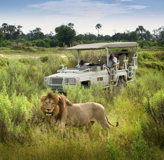Xigera Private Game Drive Xigera Private Game Drive