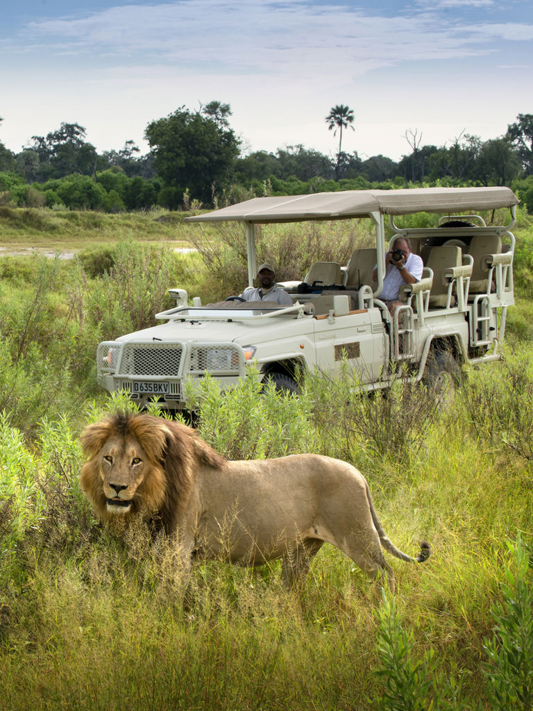 Xigera Private Game Drive  Xigera Private Game Drive
