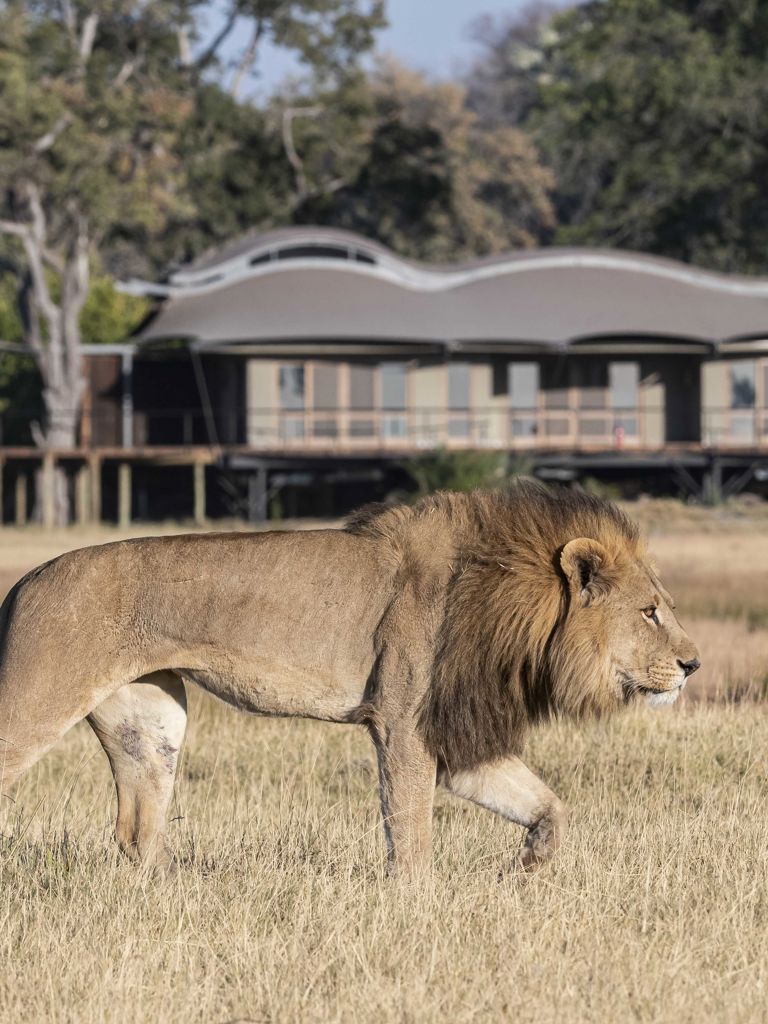Llion in front of Xigera lodge Llion in front of Xigera lodge