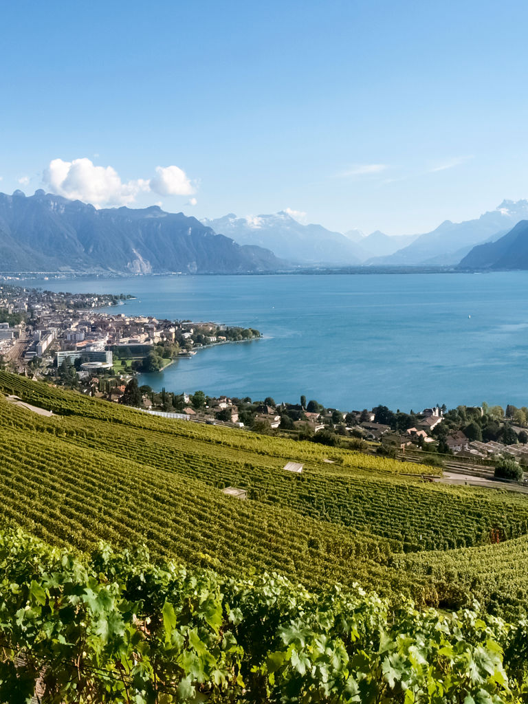 Lavaux, Switzerland: Landscape of Lavaux Vineyard Terrace hiking trail, Lake Geneva and Swiss mountains Lavaux, Switzerland: Landscape of Lavaux Vineyard Terrace hiking trail, Lake Geneva and Swiss mountains
