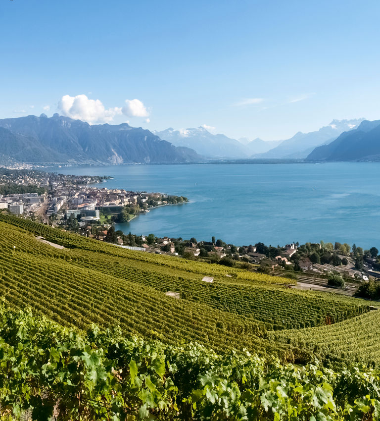 Lavaux, Switzerland: Landscape of Lavaux Vineyard Terrace hiking trail, Lake Geneva and Swiss mountains Lavaux, Switzerland: Landscape of Lavaux Vineyard Terrace hiking trail, Lake Geneva and Swiss mountains