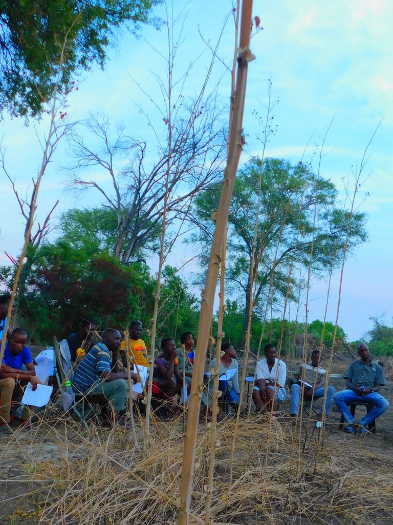 Village Greens Habu Village conservation Village Greens Habu Village conservation