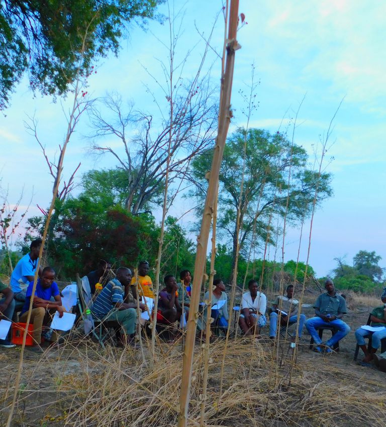 Village Greens Habu Village conservation Village Greens Habu Village conservation