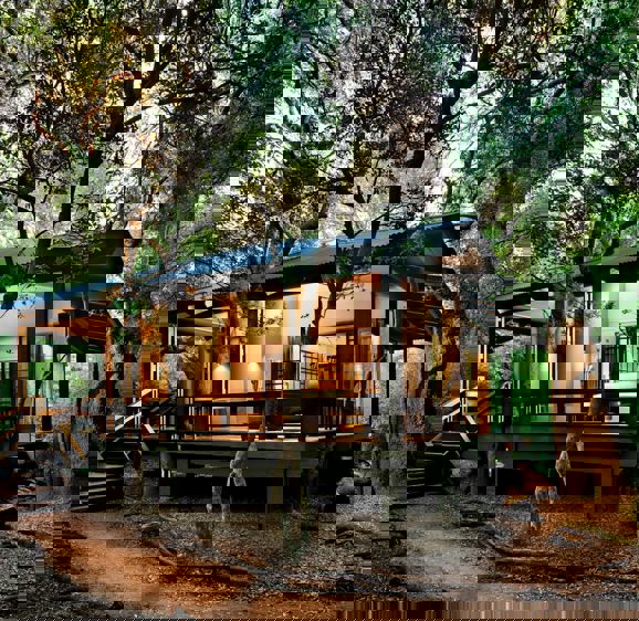 South Africa Phinda Forest Lodge Room Suite Exterior View South Africa Phinda Forest Lodge Room Suite Exterior View