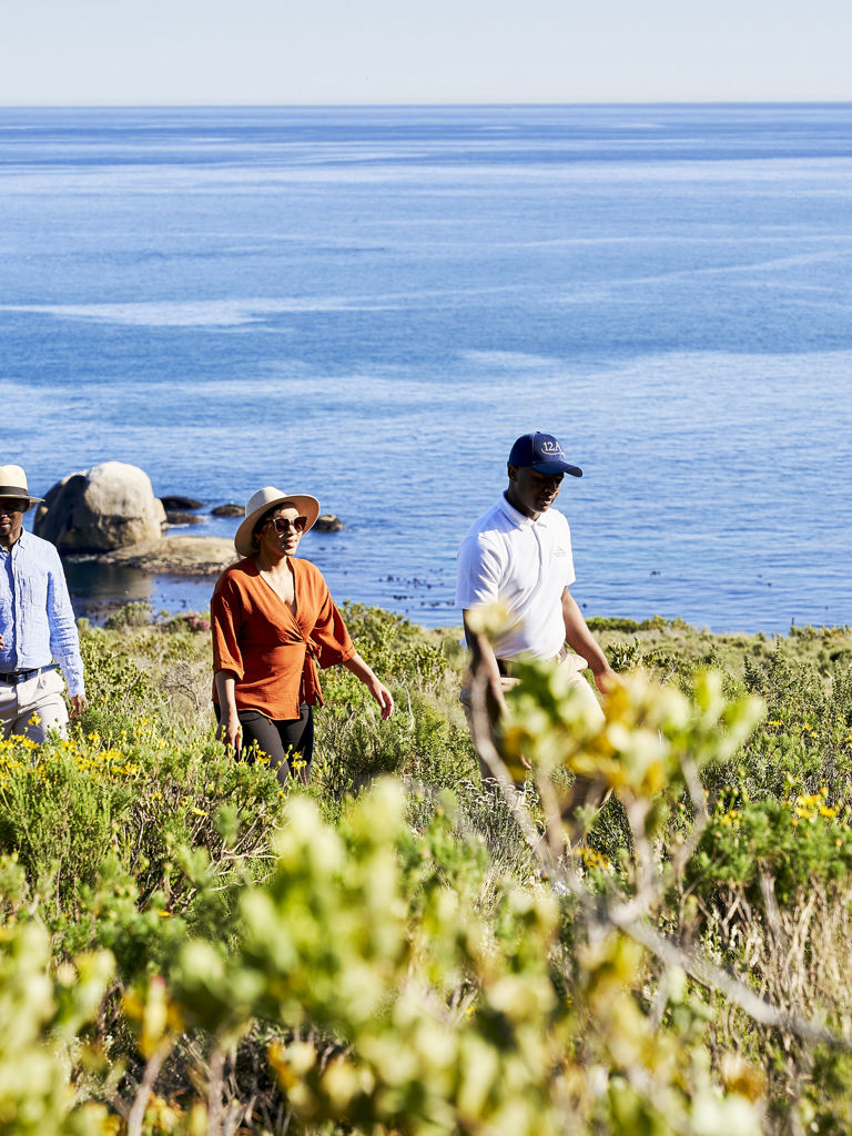 Mountain Walks Mountain Walks