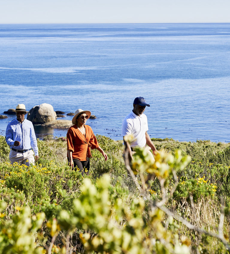 Mountain Walks Mountain Walks