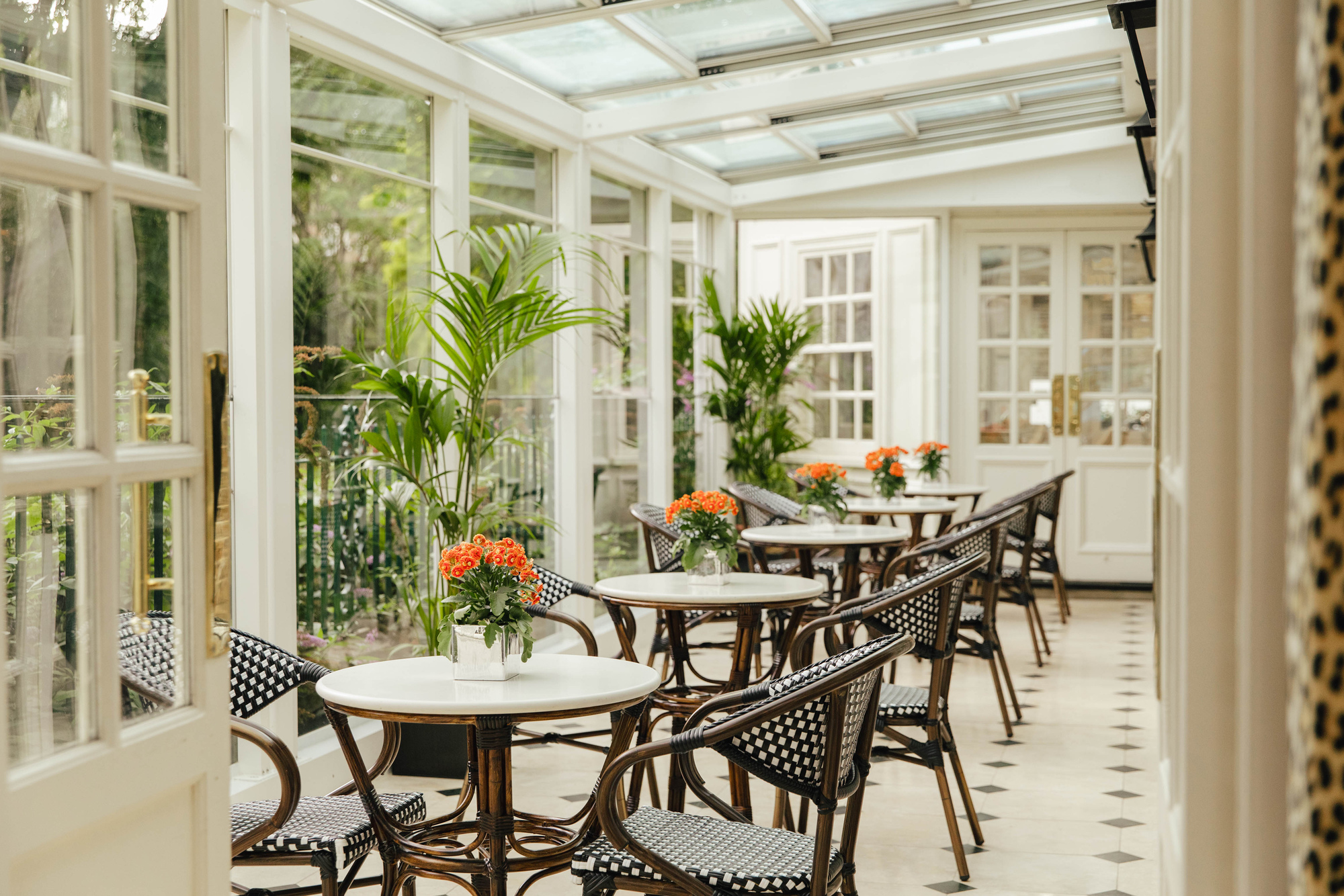 The Leopard Bar Terrace