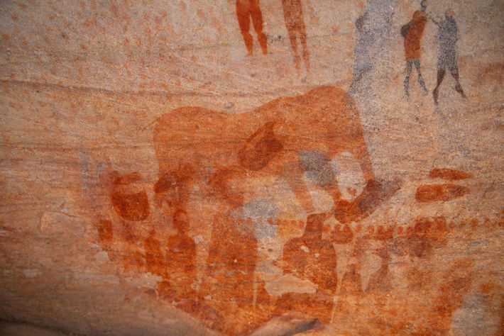 San rock art at Bushmans Kloof