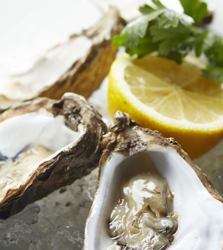 close up of Doonecastle Oysters close up of Doonecastle Oysters