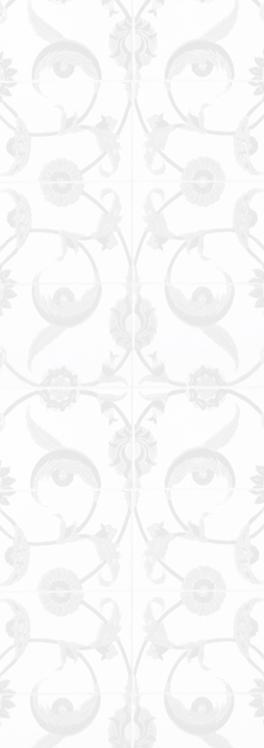 Curry Buffet Background Curry Buffet Background