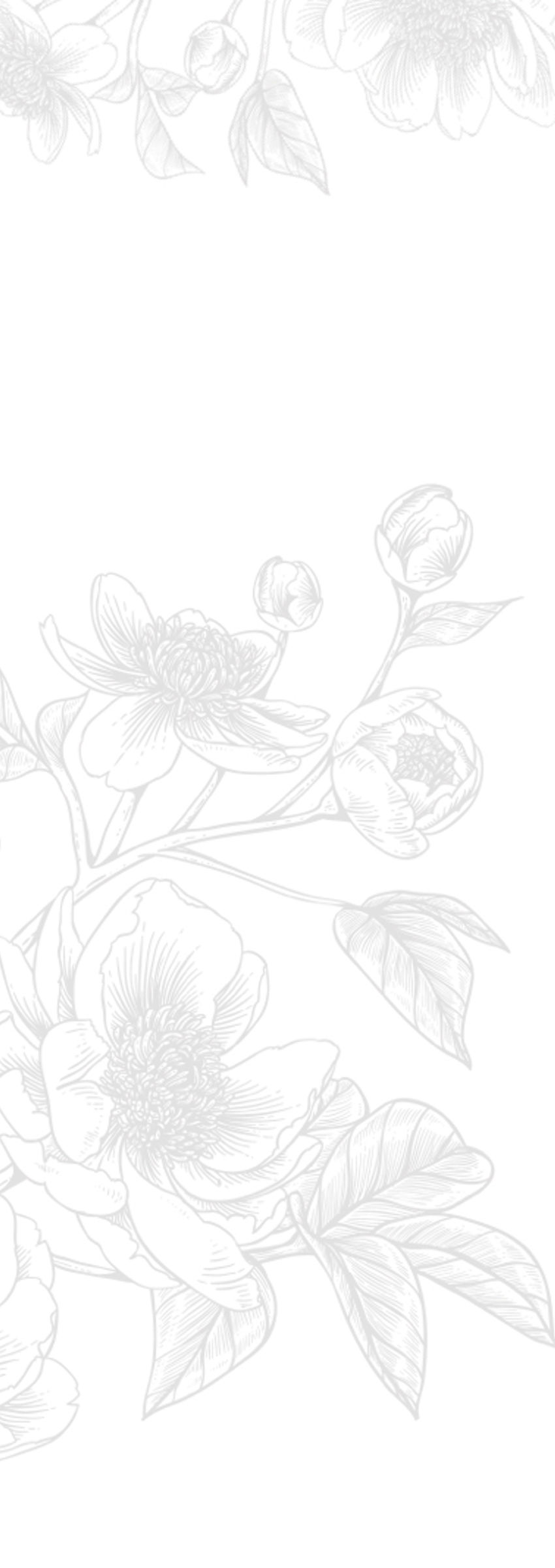 Peony flowers Background Peony flowers Background