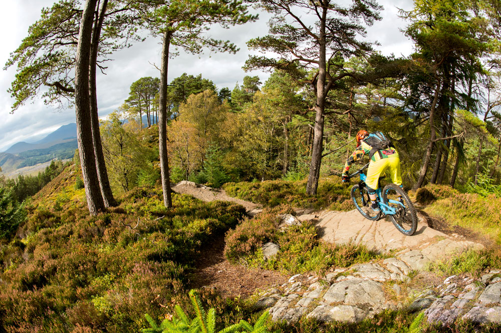 Laggan Wolftrax Trail Centre
