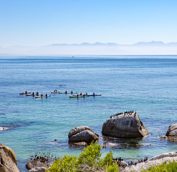 A group of tourists on kayaks viewing penguins at Bolder's Beach near Simon's Town in Cape Town, South Africa A group of tourists on kayaks viewing penguins at Bolder's Beach near Simon's Town in Cape Town, South Africa