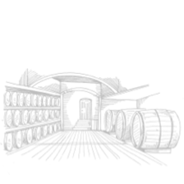 Wine Barrel Illustration