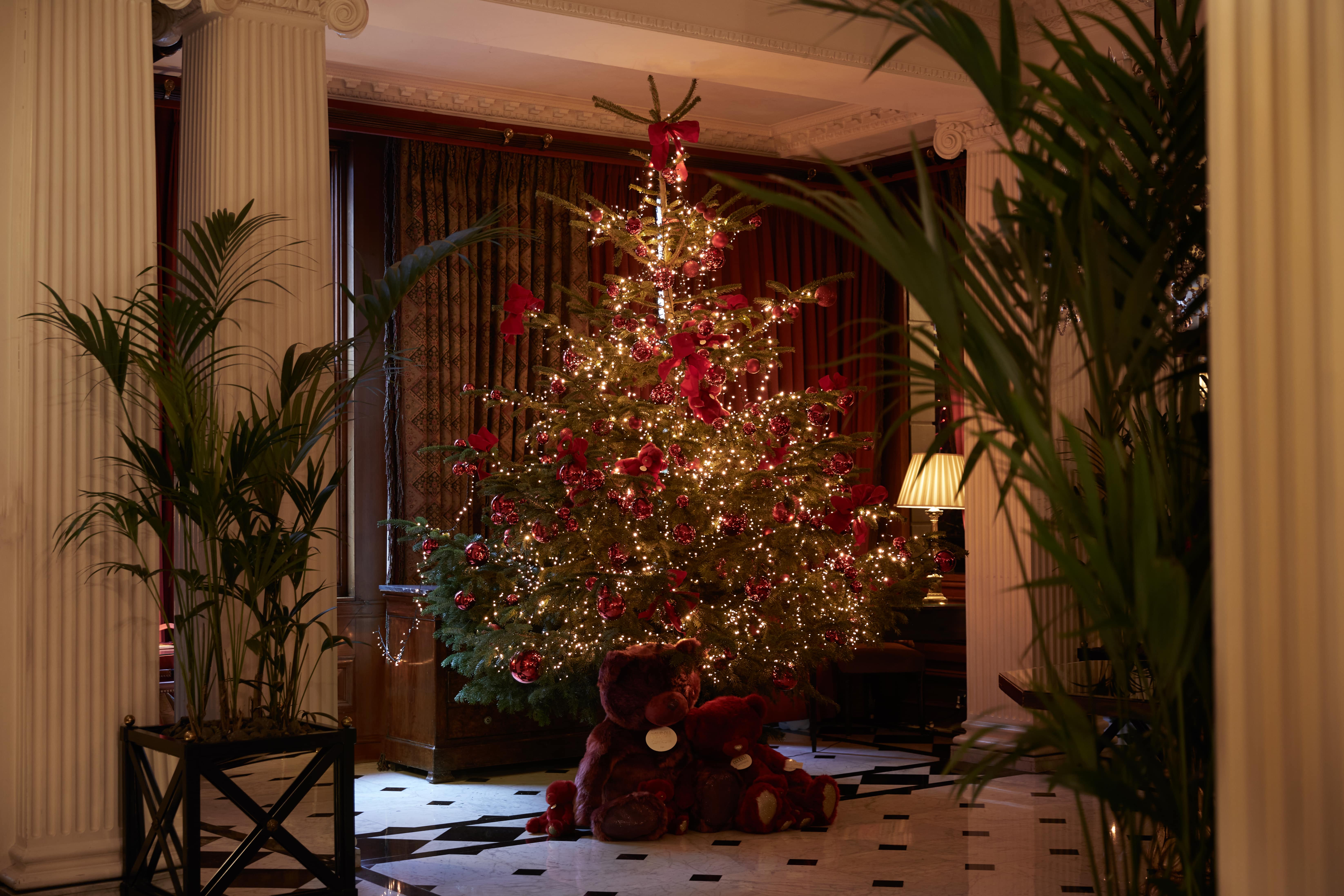 Chesterfield Mayfair Christmas Tree In Lobby 