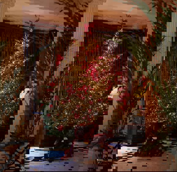 Chesterfield Mayfair Christmas Tree In Lobby Chesterfield Mayfair Christmas Tree In Lobby