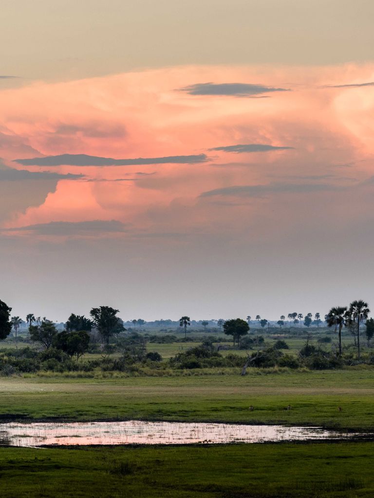 Okavango Delta at sunset Okavango Delta at sunset