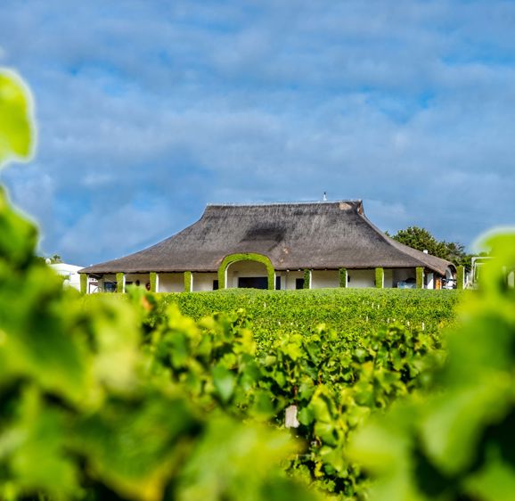 Bouchard Finlayson Farm Bouchard Finlayson Farm