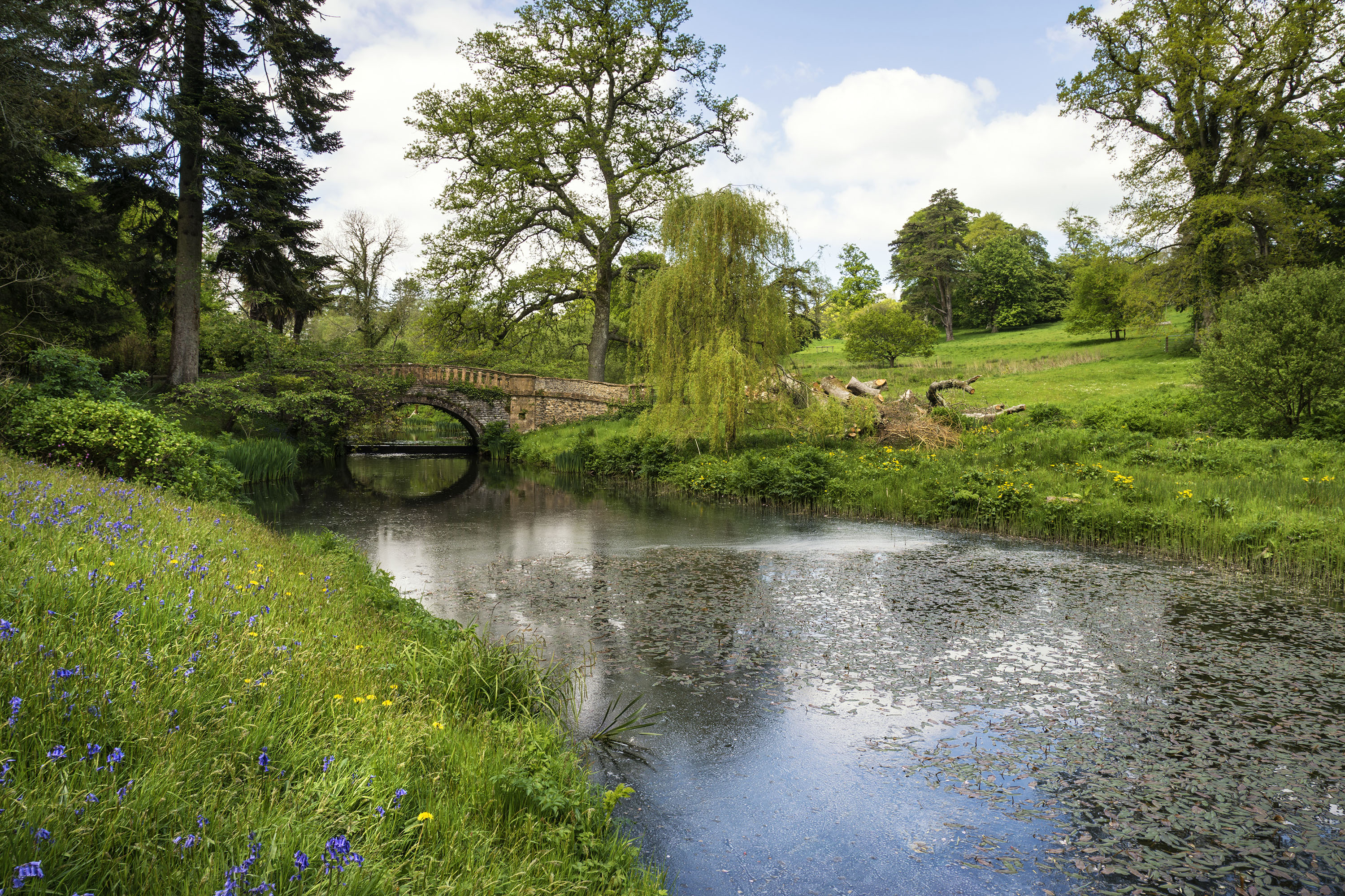 Landscape image of beautiful landscaped Gardens in Dorset