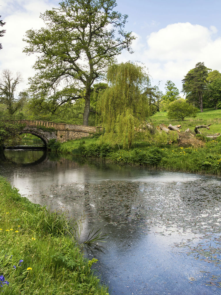 Landscape image of beautiful landscaped Gardens in Dorset Landscape image of beautiful landscaped Gardens in Dorset