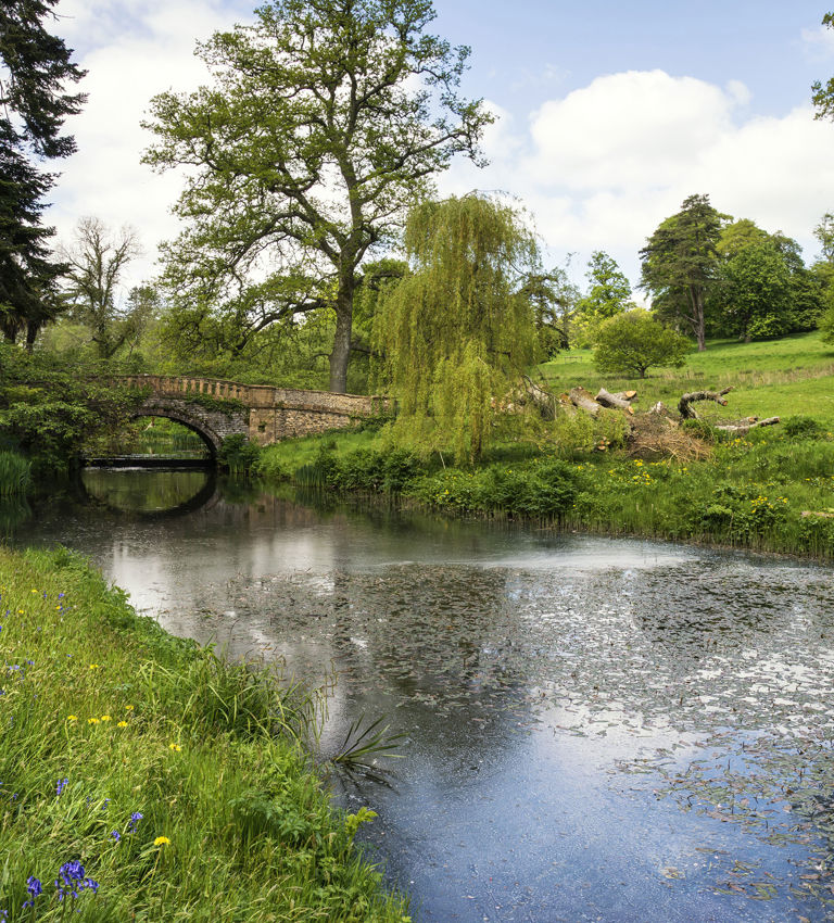 Landscape image of beautiful landscaped Gardens in Dorset Landscape image of beautiful landscaped Gardens in Dorset