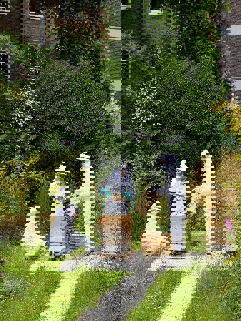 Bloomsbury bees Bloomsbury bees