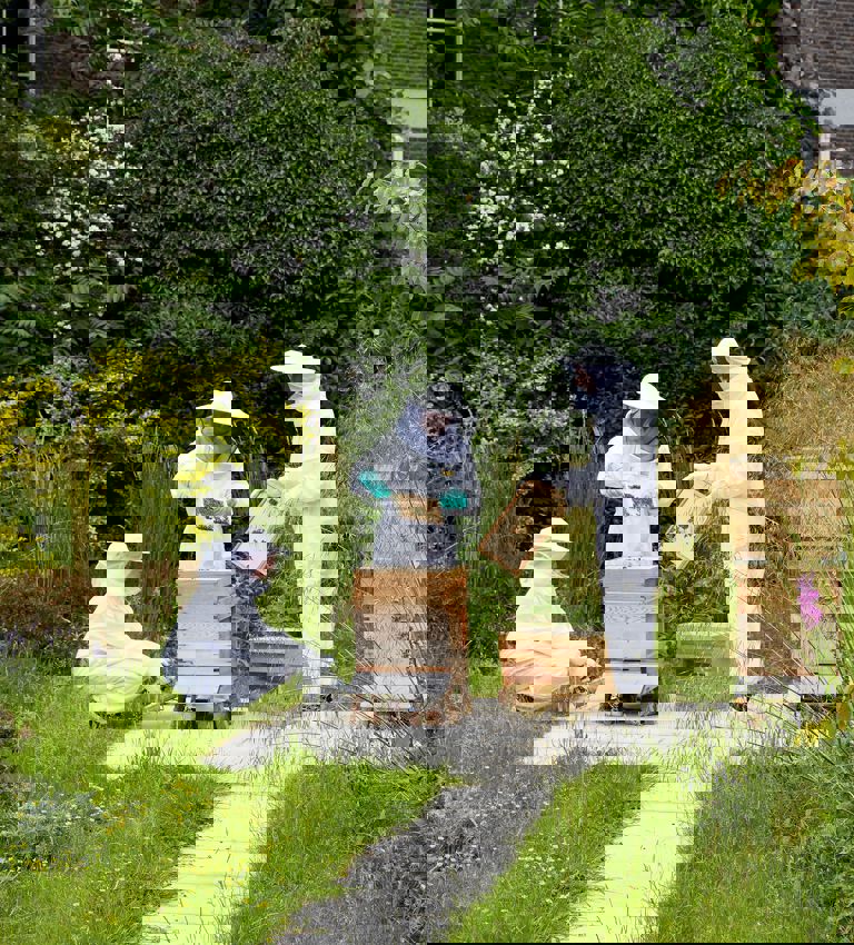 Bloomsbury bees Bloomsbury bees