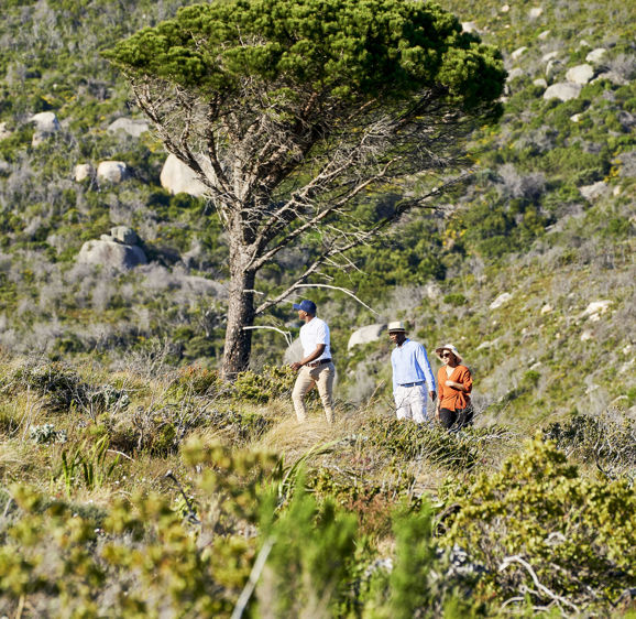 Mountain Walks Mountain Walks