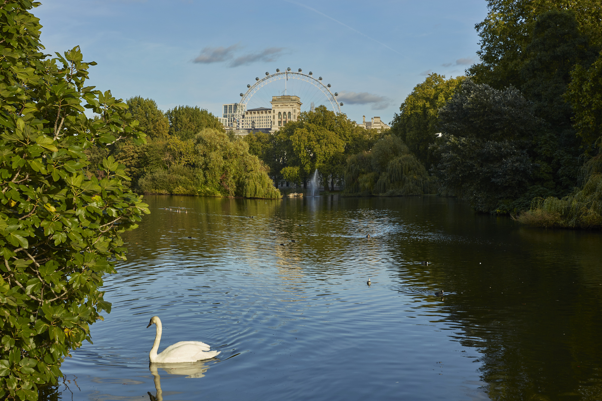 St James's Park