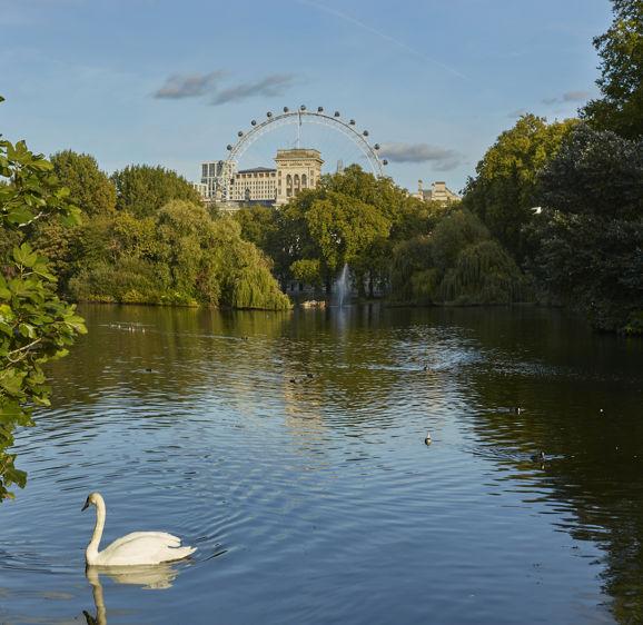 St James's Park St James's Park