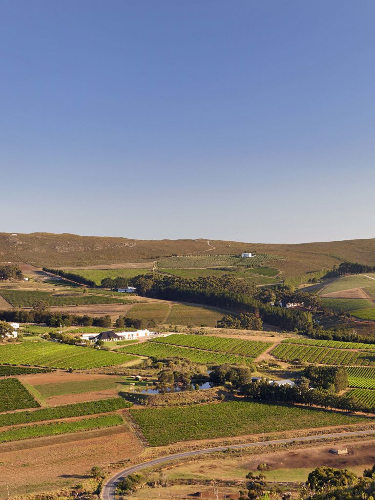 Bouchard Finlayson Hero Shot Bouchard Finlayson Hero Shot