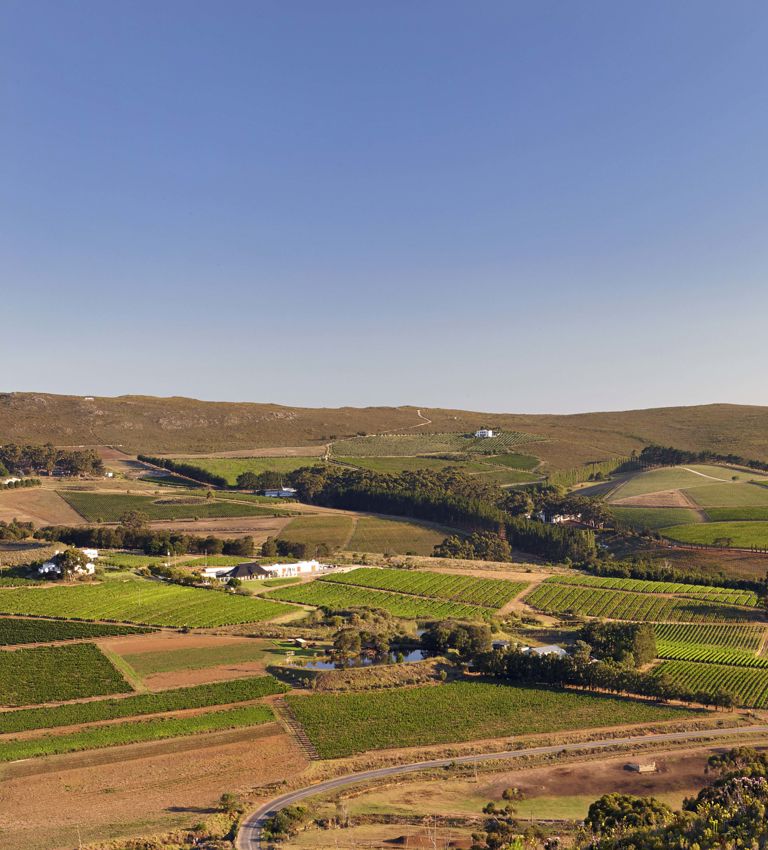 Bouchard Finlayson Hero Shot Bouchard Finlayson Hero Shot