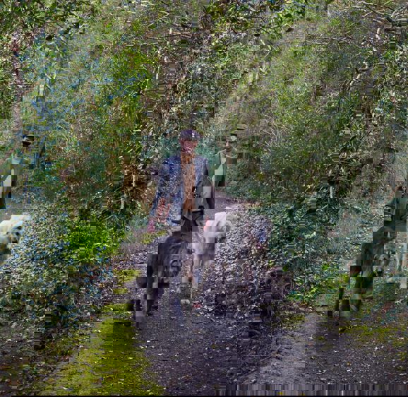 Foraging At Ashford Castle Philippe Farineau Executive Chef and Wolfhounds Foraging At Ashford Castle Philippe Farineau Executive Chef and Wolfhounds