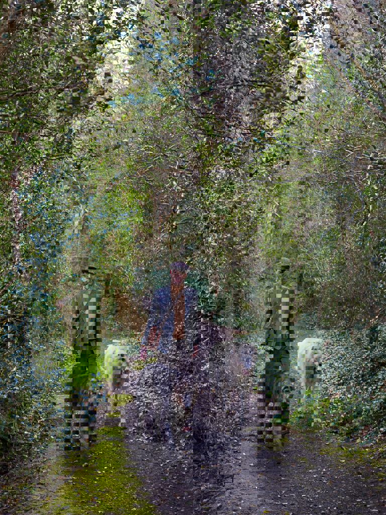 Foraging At Ashford Castle Philippe Farineau Executive Chef and Wolfhounds Foraging At Ashford Castle Philippe Farineau Executive Chef and Wolfhounds