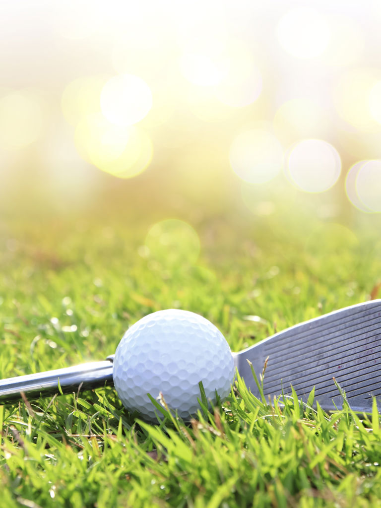 Golf club and ball in grass Golf club and ball in grass