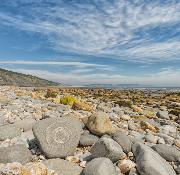 An ammonite fossil on the beach close to Lyme Regis on Dorset's Jurassic Coast An ammonite fossil on the beach close to Lyme Regis on Dorset's Jurassic Coast