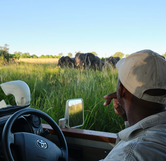Private game drives at Xigera Private game drives at Xigera