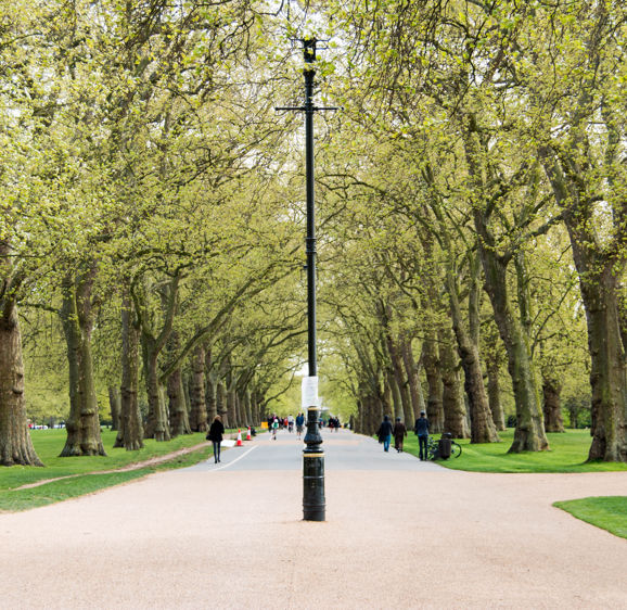 Spring in Hyde Park, London Spring in Hyde Park, London
