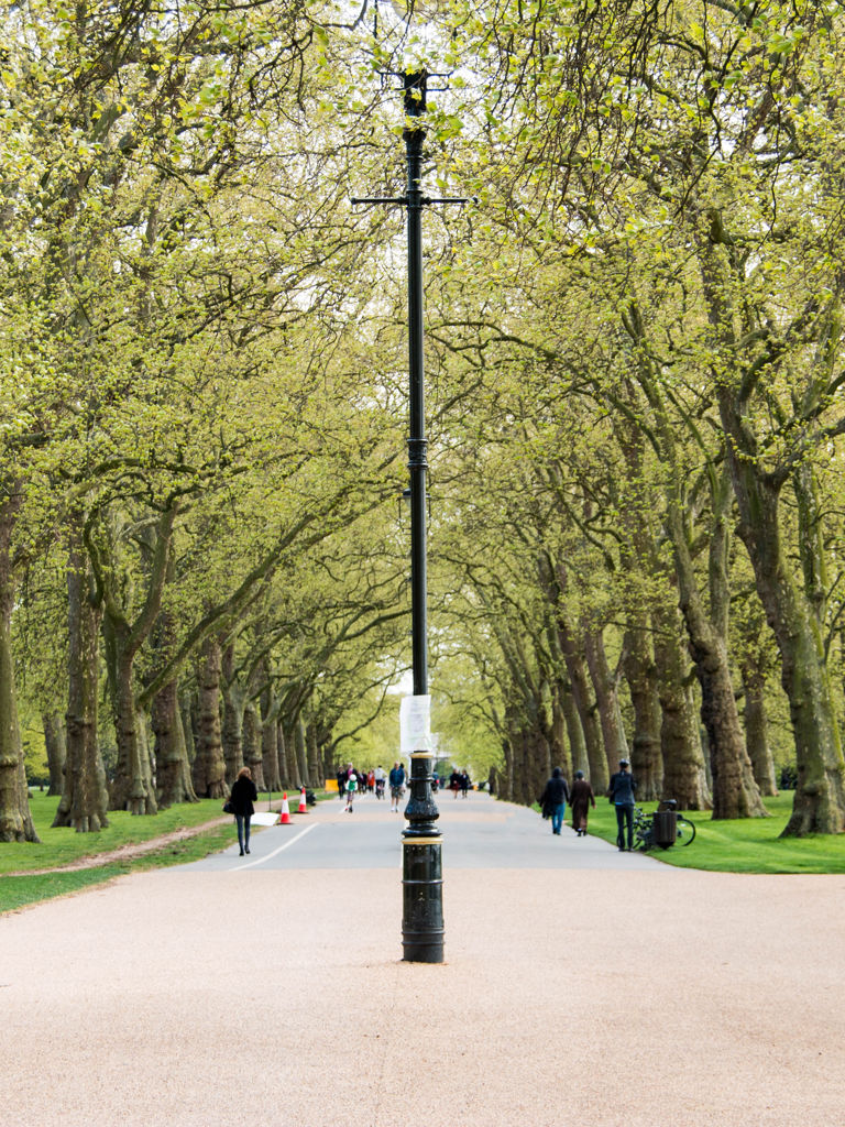Spring in Hyde Park, London Spring in Hyde Park, London